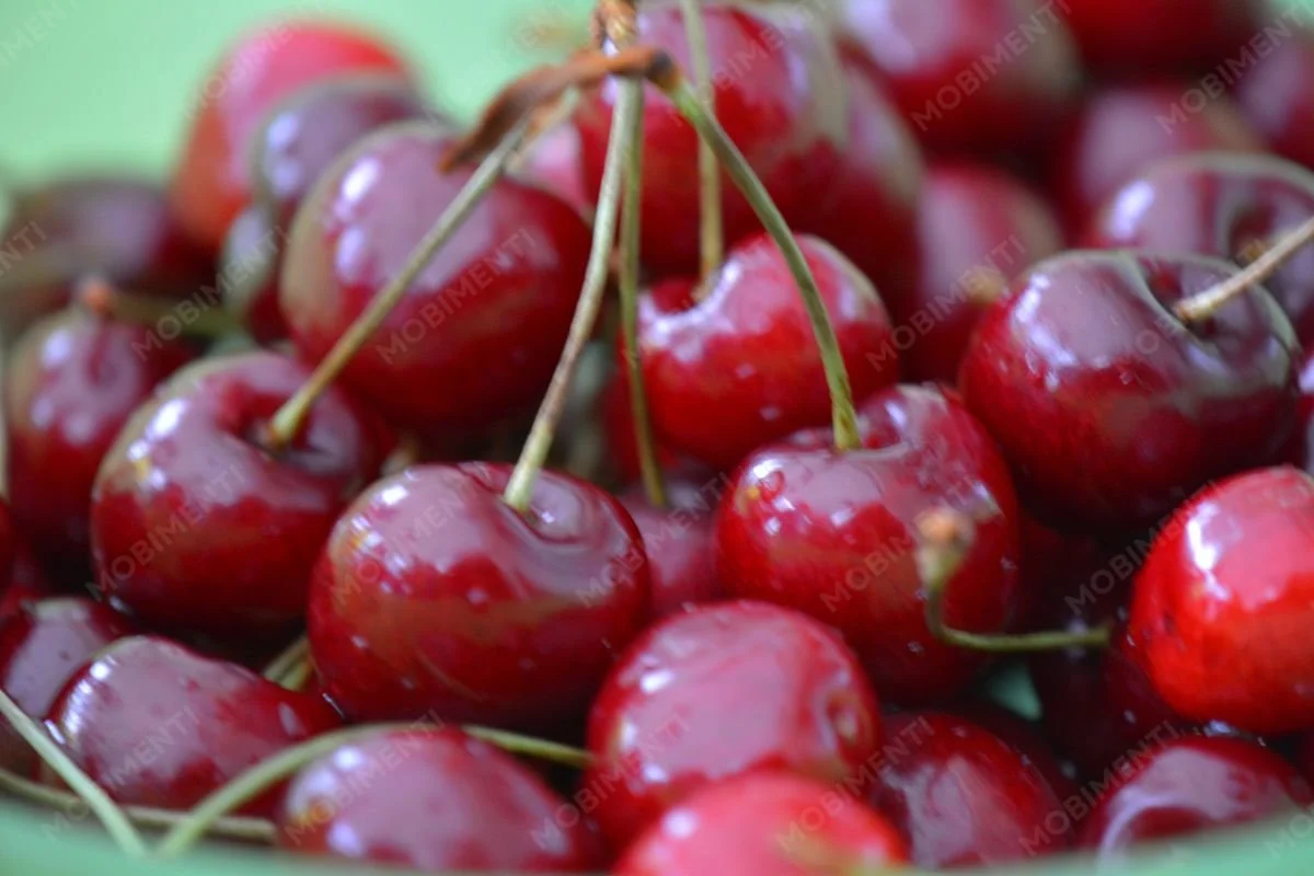 Frische Kirschen – Food-Fotografie