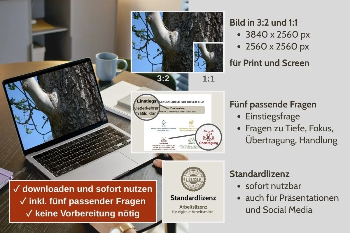 Verwachsener Astansatz als Bild für Prozessfragen in verschiedenen Formaten, Vorschau von 5 passenden Arbeitsfragen und Standardlizenz