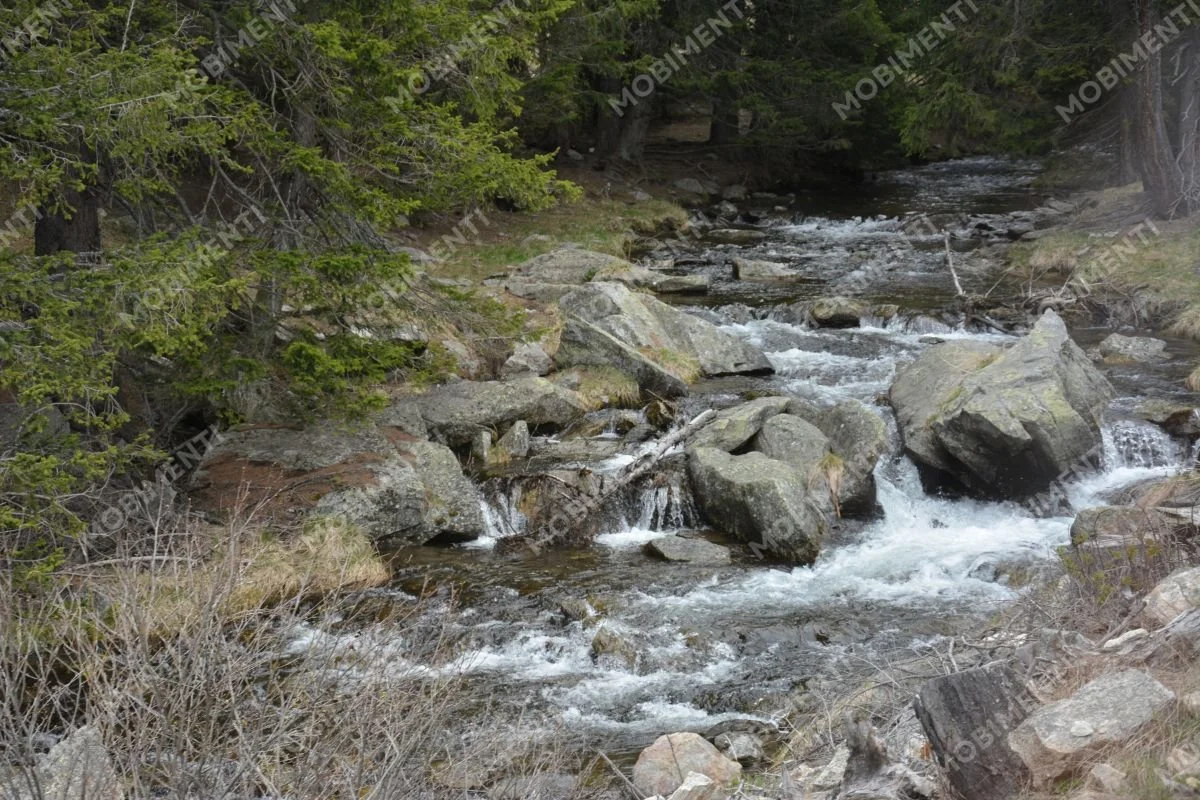 Wilder Bergbach im Wald – Cadera