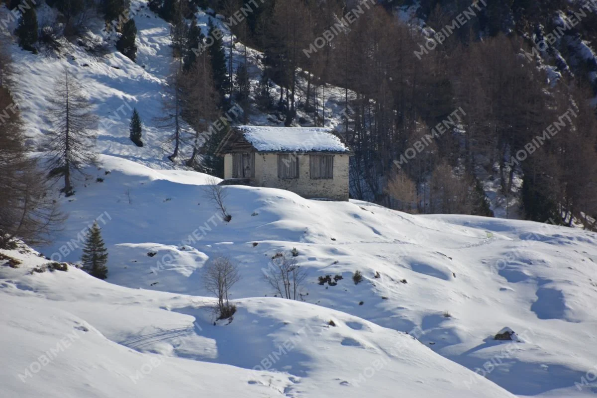 Maloja – Verschneites Alp- und Tarnhaus