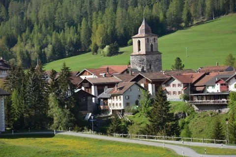 Blick auf ein Bündner Bergdorf mit Kirche, traditionellen Häusern und Wiesen am Waldrand.