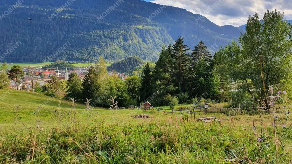 Wiesenblick über Domat/Ems