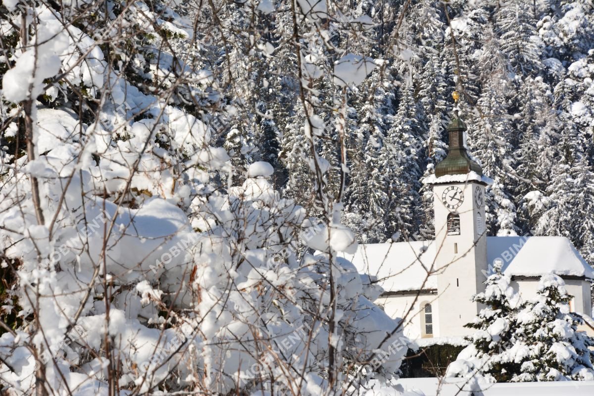 Felsberg – Kirche mit Winterwald