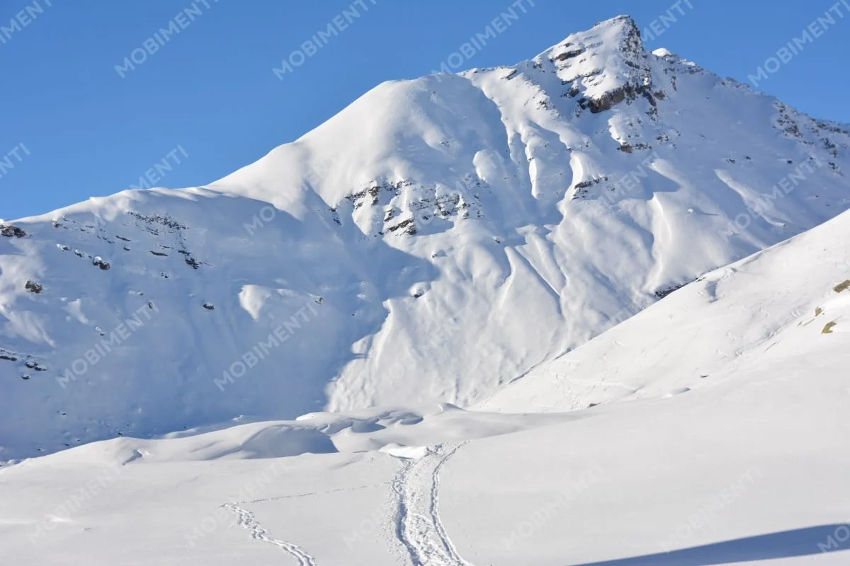 Spuren im Schnee – Winterpanorama