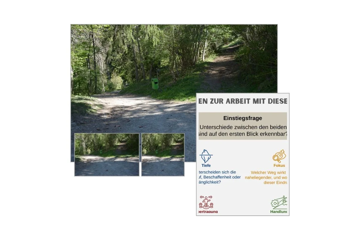 Weggabelung im Wald als Entscheidungsbild mit verschiedenen Formaten und Vorschau von 5 Arbeitsfragen zur Reflexion