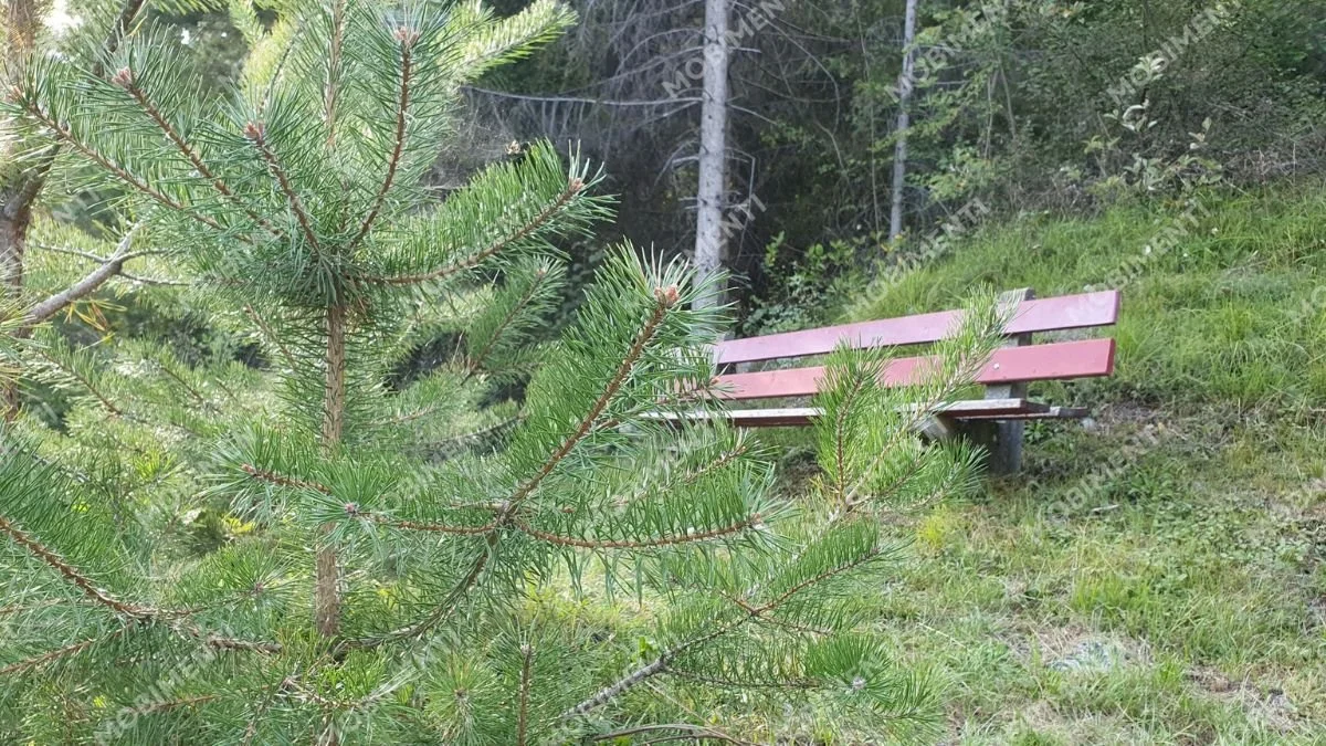 Rote Sitzbank – Landschaftsfotografie