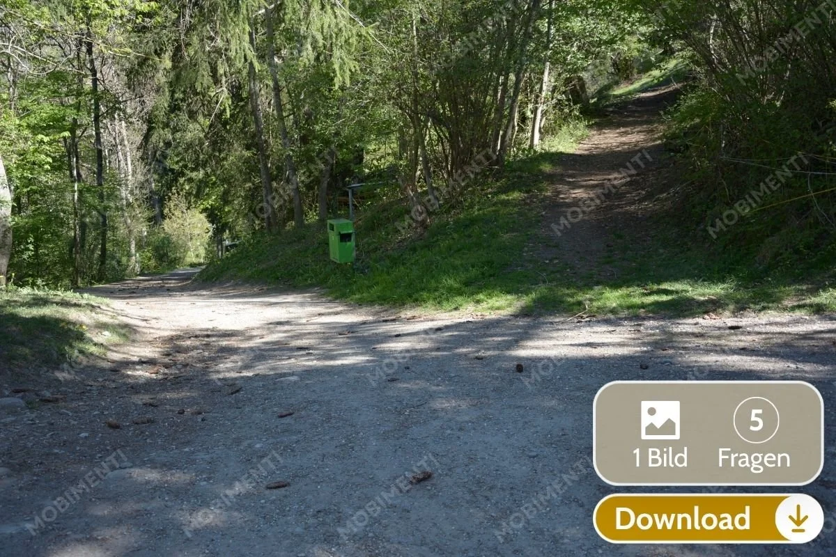 Weggabelung im Wald · Digitale Bildkarte