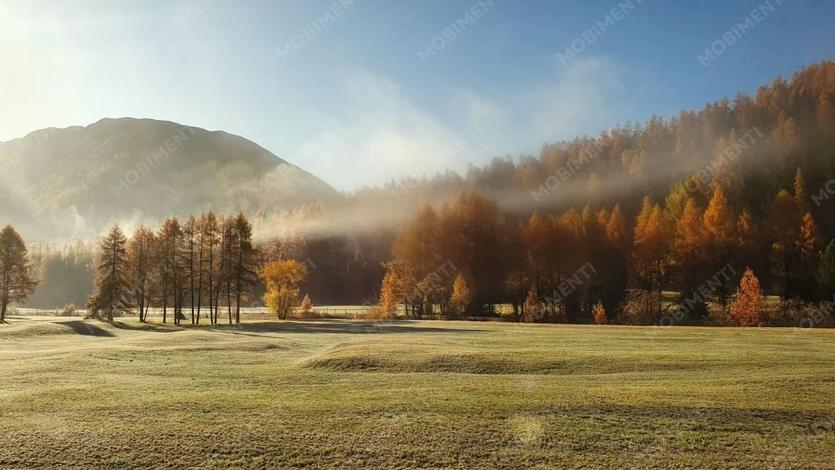Herbstnebel – Val Bever