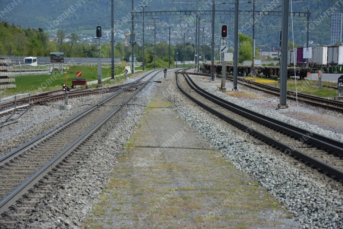 Mehrgleisige Bahnstrecke mit Weichen und Signalen