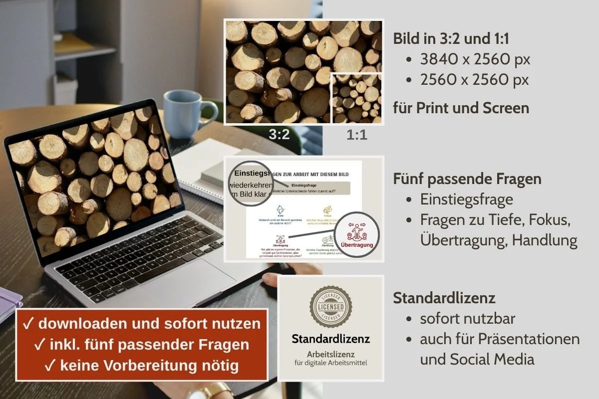 Gestapeltes Rundholz als Bild für Struktur und Ordnung in verschiedenen Formaten, Vorschau von 5 passenden Arbeitsfragen und Standardlizenz
