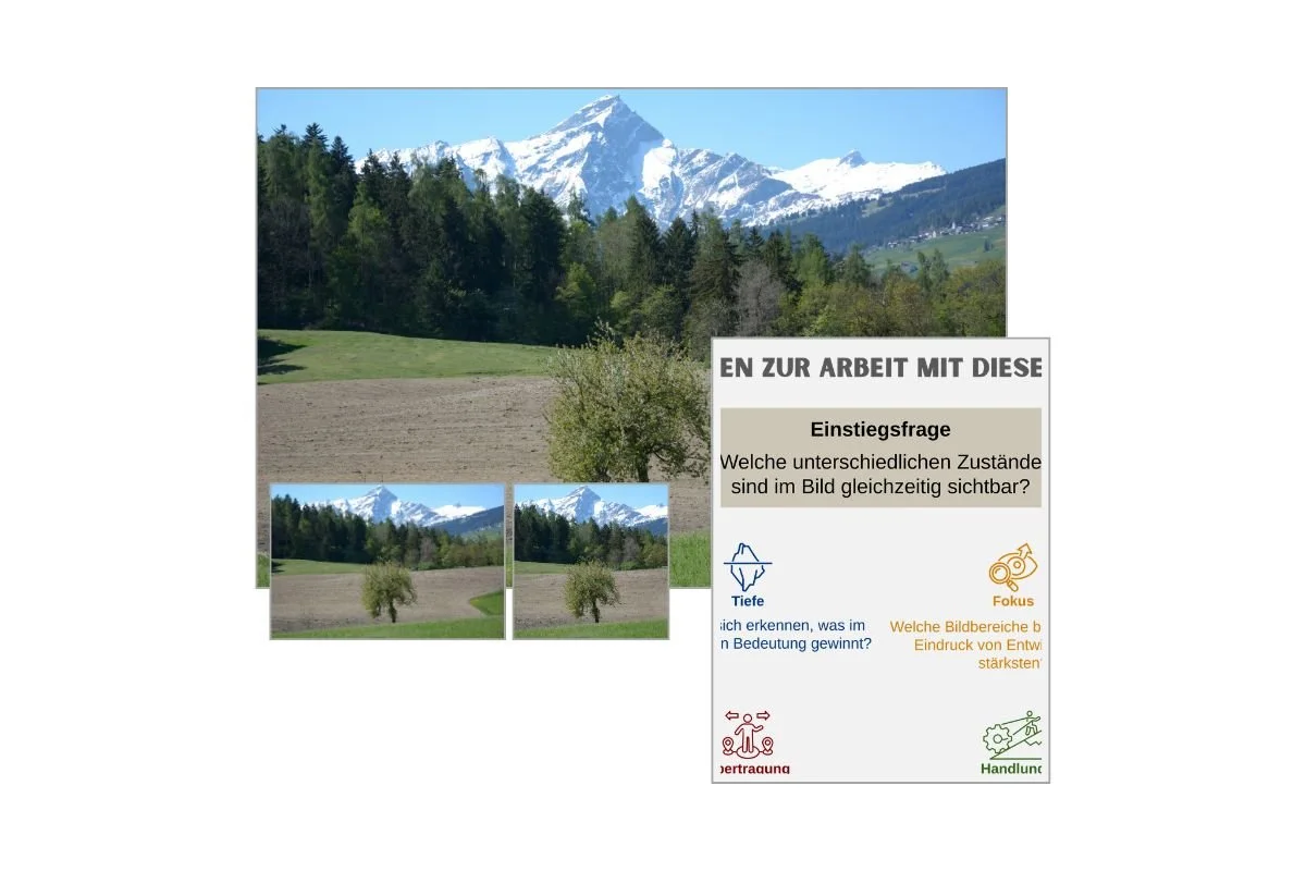 Frühlingsaustrieb als Prozessbild mit verschiedenen Formaten und Vorschau von 5 Arbeitsfragen zur Reflexion