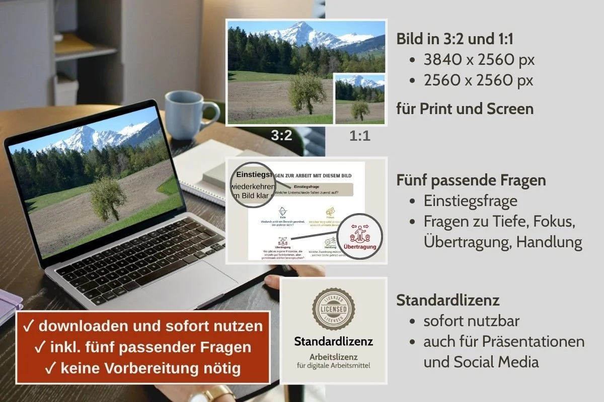 Frühlingsaustrieb mit Schneebergen im Hintergrund als Bild für Prozessfragen in verschiedenen Formaten, Vorschau von 5 passenden Arbeitsfragen und Standardlizenz