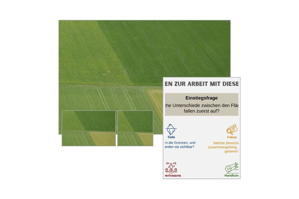 Landwirtschaftliche Feldgrenzen als Strukturbild mit verschiedenen Formaten und Vorschau von 5 Arbeitsfragen zur Reflexion