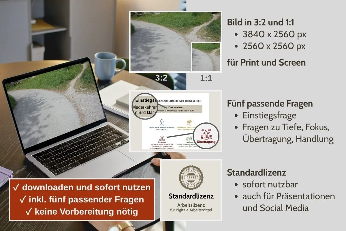 Weggabelung mit befestigtem und unbefestigtem Weg als Bild für Entscheidungen in verschiedenen Formaten, Vorschau von 5 passenden Arbeitsfragen und Standardlizenz