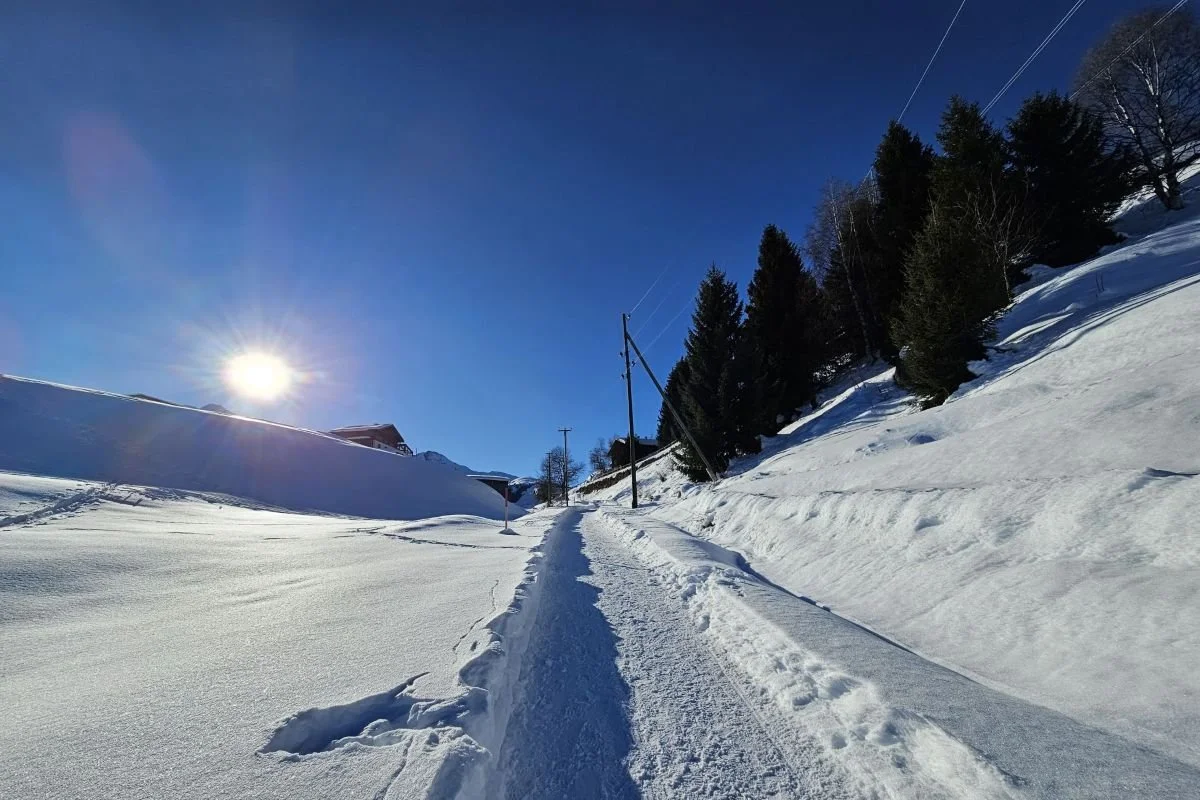Schmal geräumter Schneeweg mit hohen Schneewällen unter tief stehender Sonne, blauer Himmel und Nadelbäume am Hang.