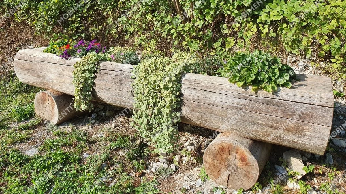 Pflanzenbrunnen – Landschaftsfotografie