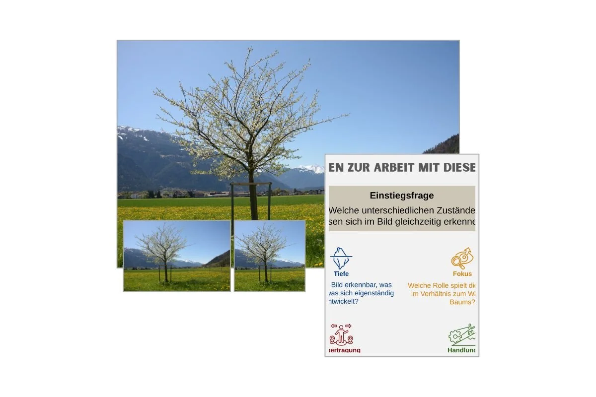 Junger Baum auf Frühlingswiese als Prozessbild mit verschiedenen Formaten und Vorschau von 5 Arbeitsfragen zur Reflexion