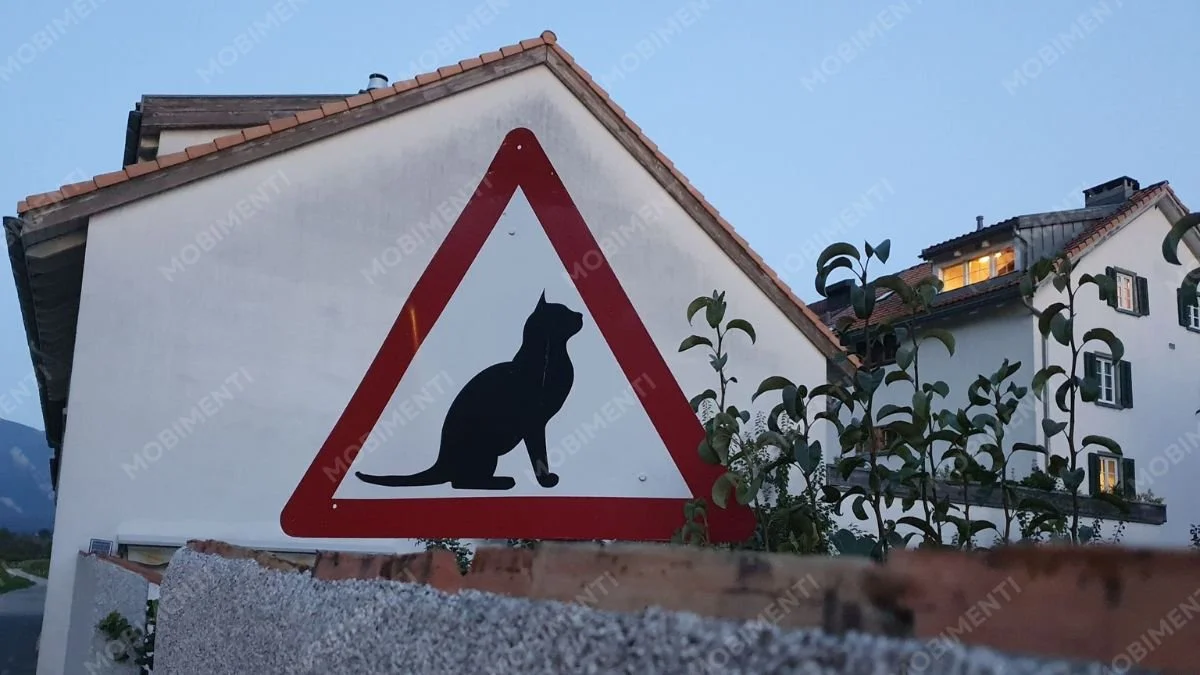 Schild Achtung Katzen – Landschaftsfotografie