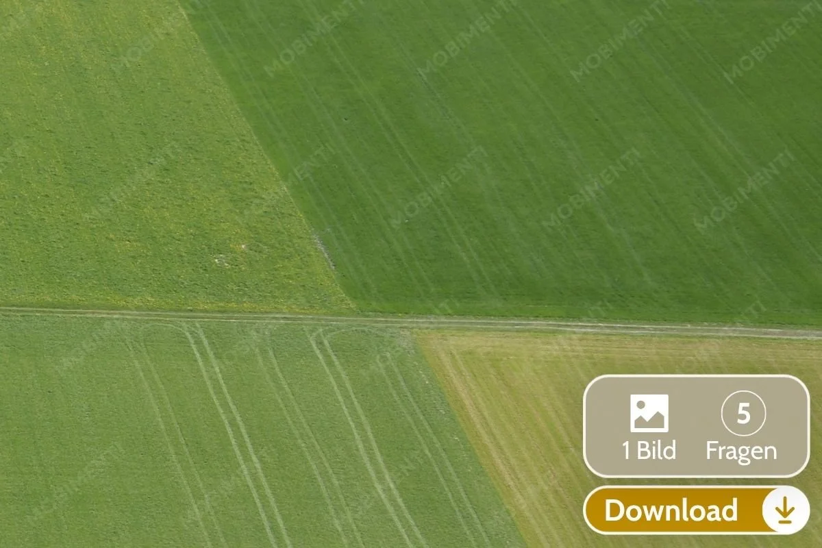Landwirtschaftliche Feldgrenzen · Digitale Bildkarte