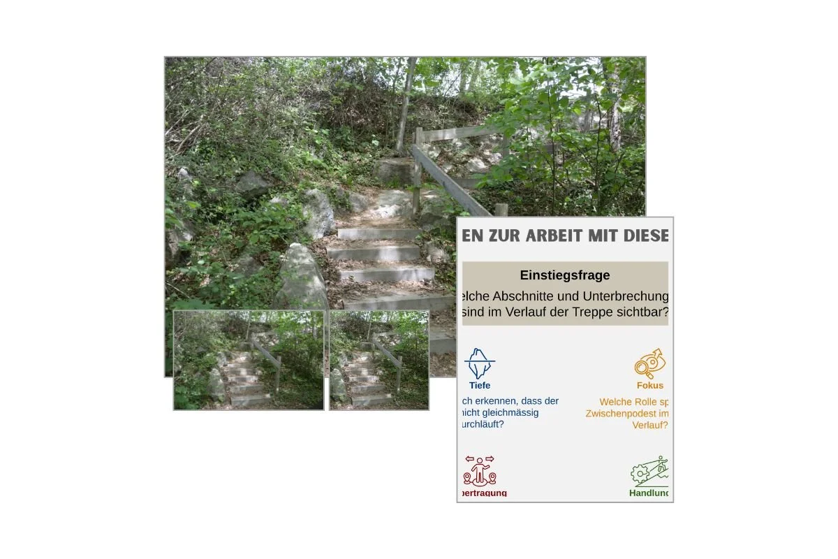 Naturtreppe mit Zwischenpodest als Prozessbild mit verschiedenen Formaten und Vorschau von 5 Arbeitsfragen zur Reflexion