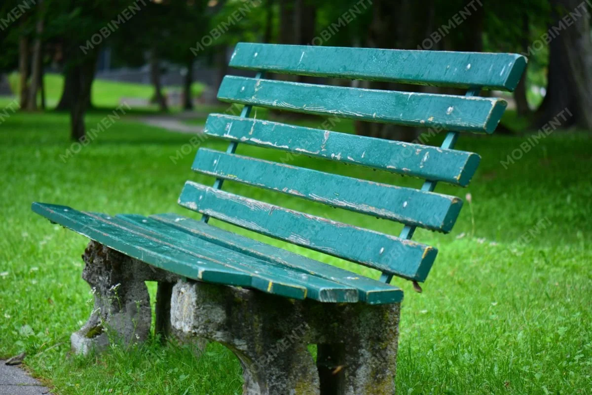 Grüne Parkbank – Landschaftsfotografie