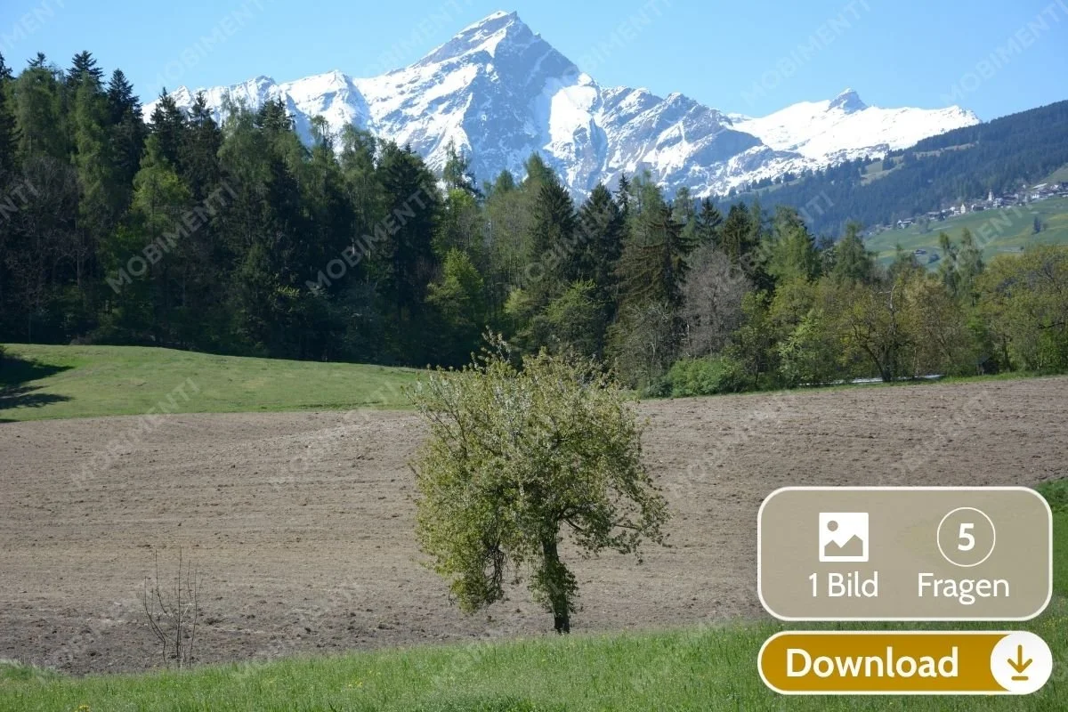 Frühlingsaustrieb vor Winterlandschaft · Digitale Bildkarte