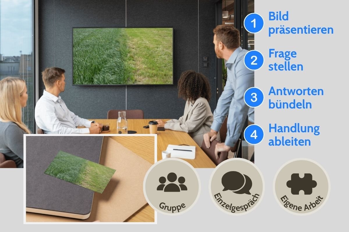 Mähwiese als Strukturbild auf Screen und als gedruckte Postkarte während einer Gruppenarbeit