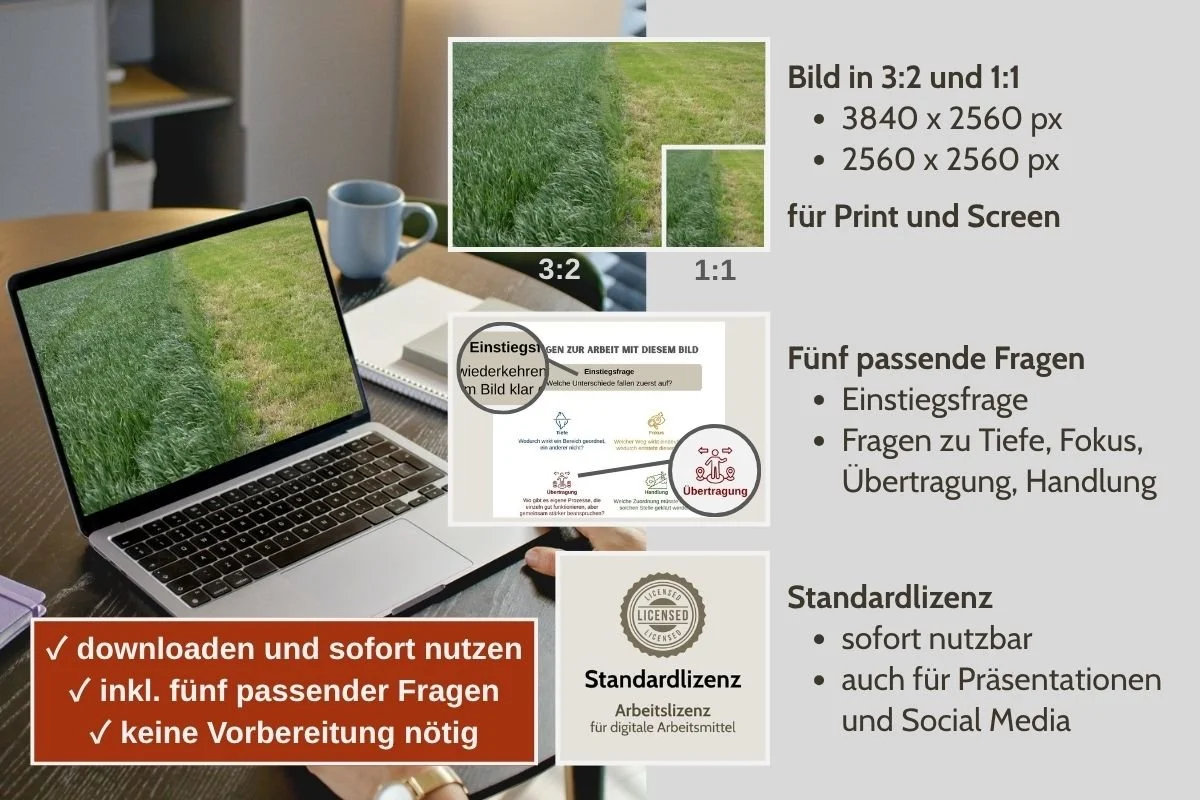 Mähwiese als Bild für Struktur und Ordnung in verschiedenen Formaten, Vorschau von 5 passenden Arbeitsfragen und Standardlizenz