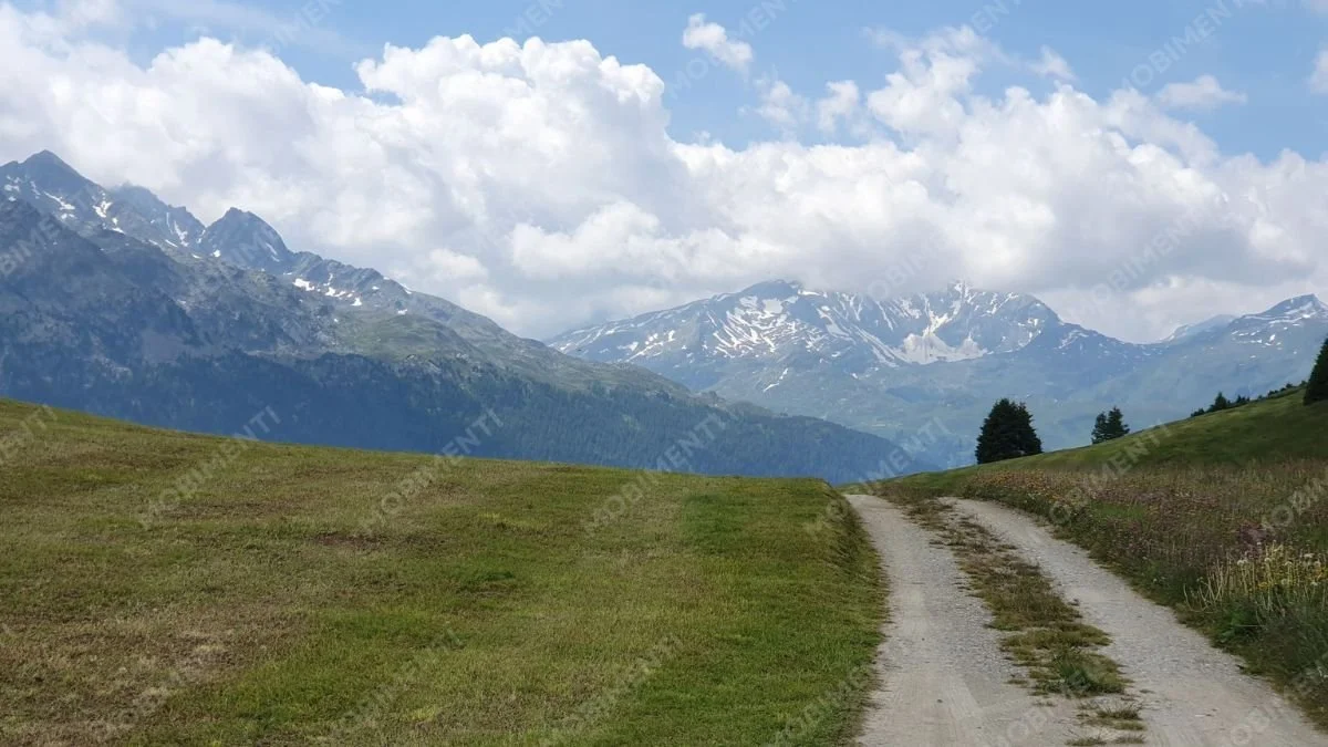 Feldweg – Alp da Vons