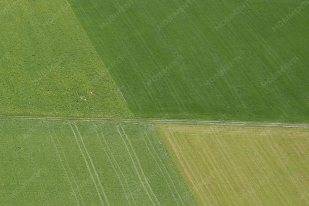 Landwirtschaftliche Feldgrenzen