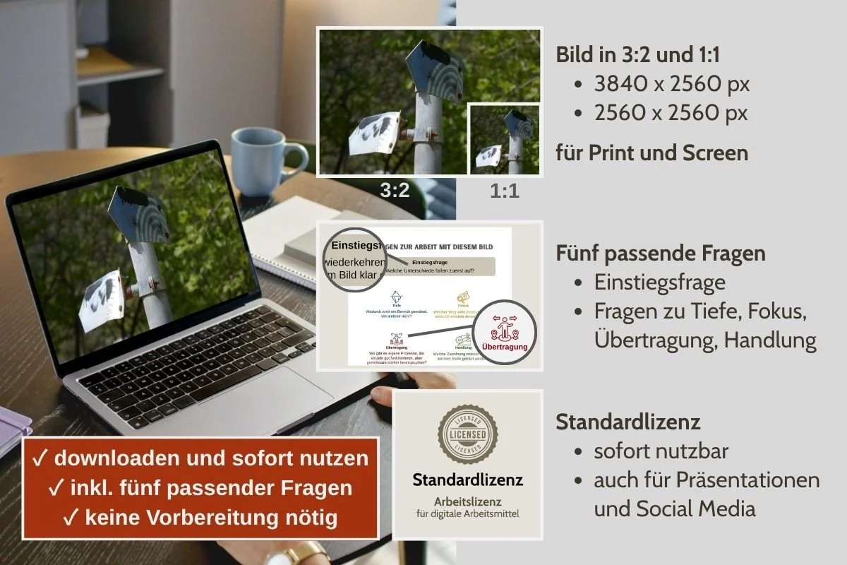 Verdrehte Hinweisschilder als Bild für Entscheidungen in verschiedenen Formaten, Vorschau von 5 passenden Arbeitsfragen und Standardlizenz