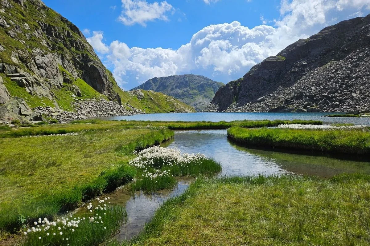 Alpine Landschaft mit Bergsee, grünen Grashalden, Felswänden und Wollgräsern unter blauem Himmel.