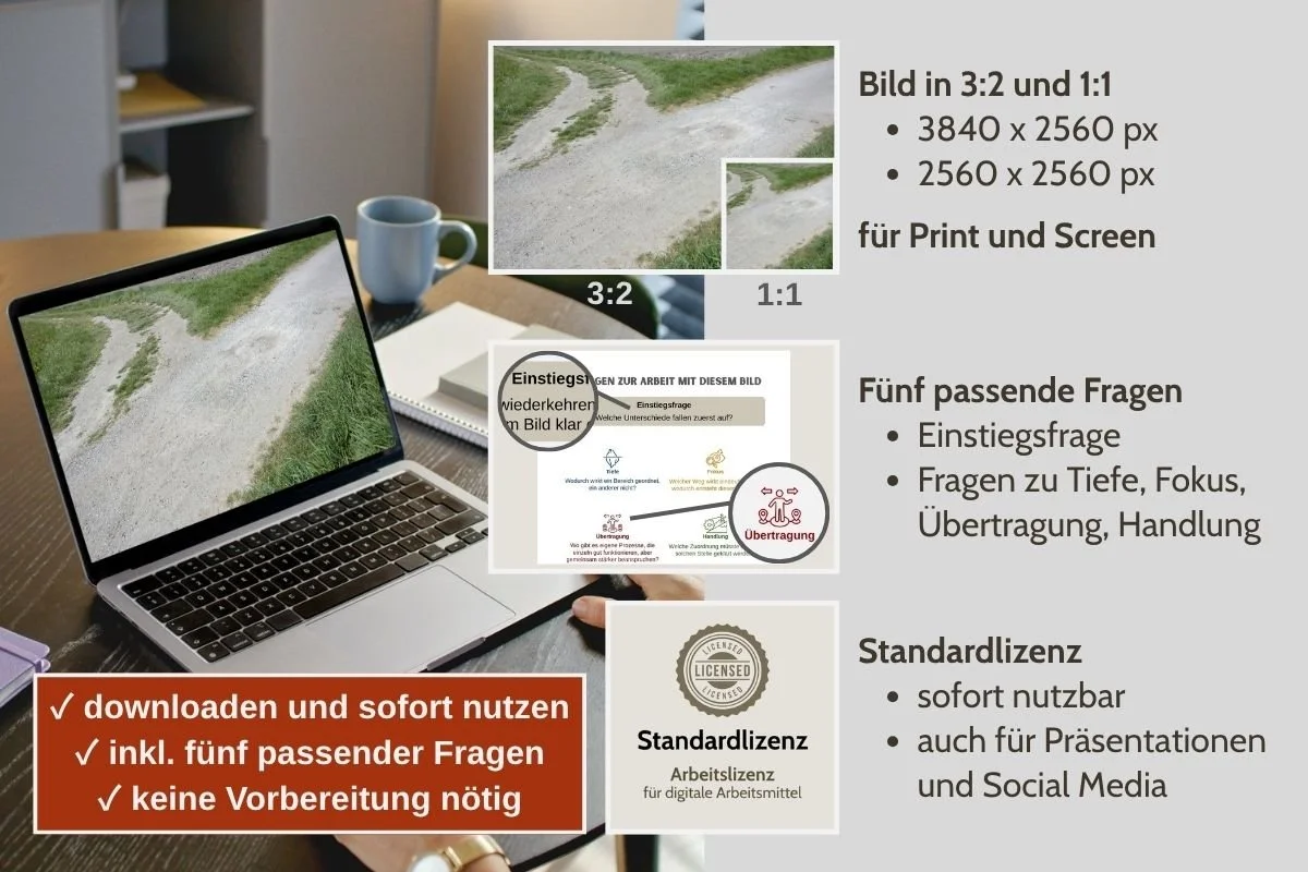 Unterschiedlich ausgeprägte Weggabelung als Bild für Entscheidungen in verschiedenen Formaten, Vorschau von 5 passenden Arbeitsfragen und Standardlizenz
