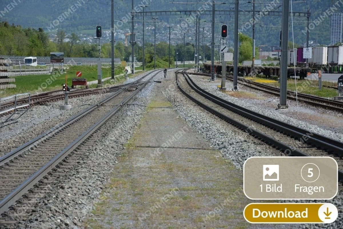Mehrgleisige Bahnstrecke mit Weichen und Signalen · Digitale Bildkarte