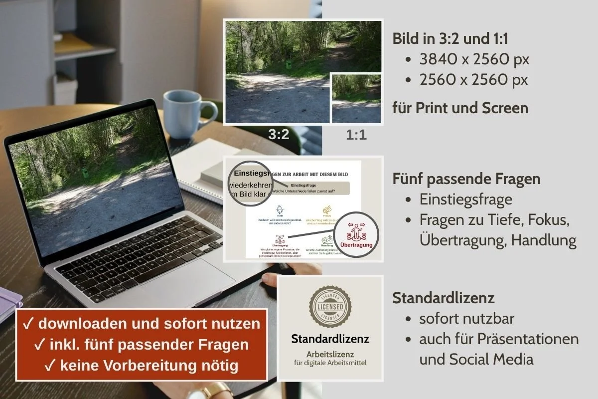 Weggabelung im Wald als Bild für Entscheidungen in verschiedenen Formaten, Vorschau von 5 passenden Arbeitsfragen und Standardlizenz