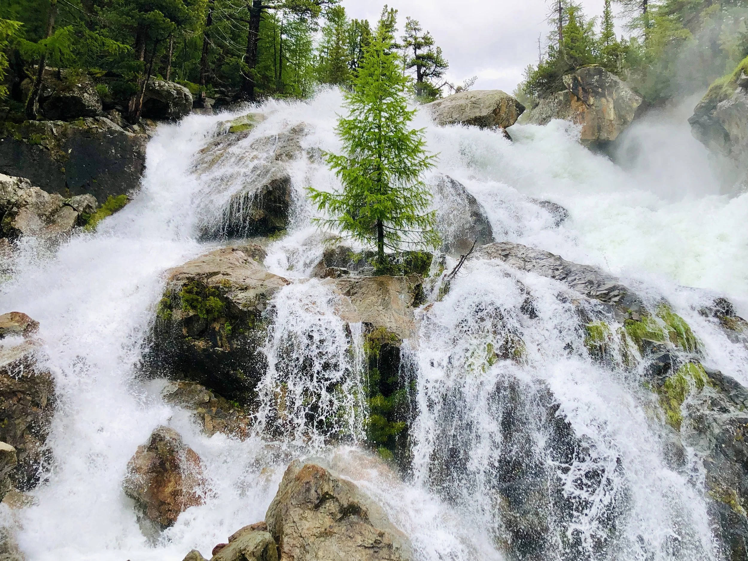 A river with rushing water flowing over rocks, surrounded by green trees under an overcast sky.