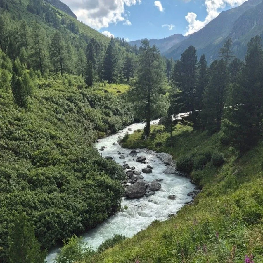 A mountain river flowing through a green forested valley with tall trees and distant mountains under a partly cloudy blue sky.