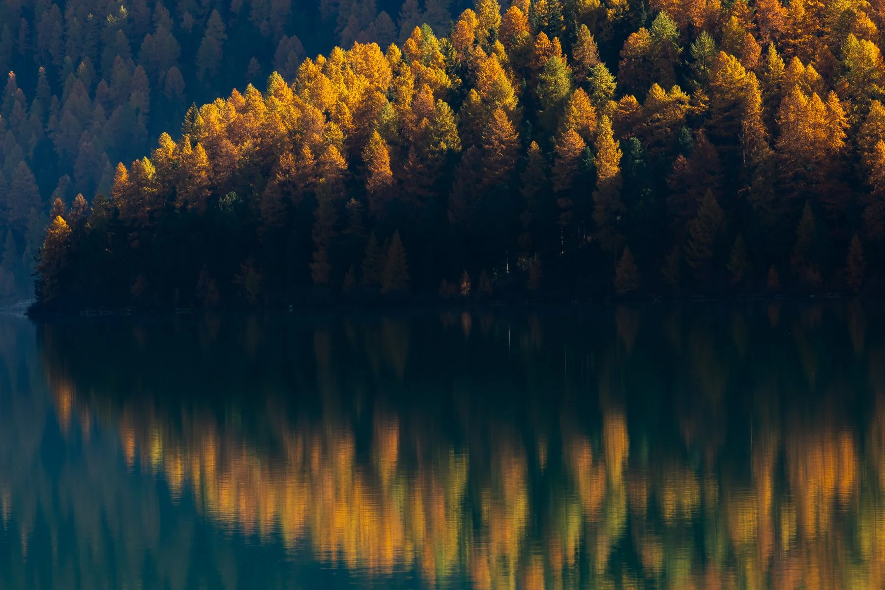 A landscape of a densely forested hillside with trees in fall colors, reflected in a calm body of water.