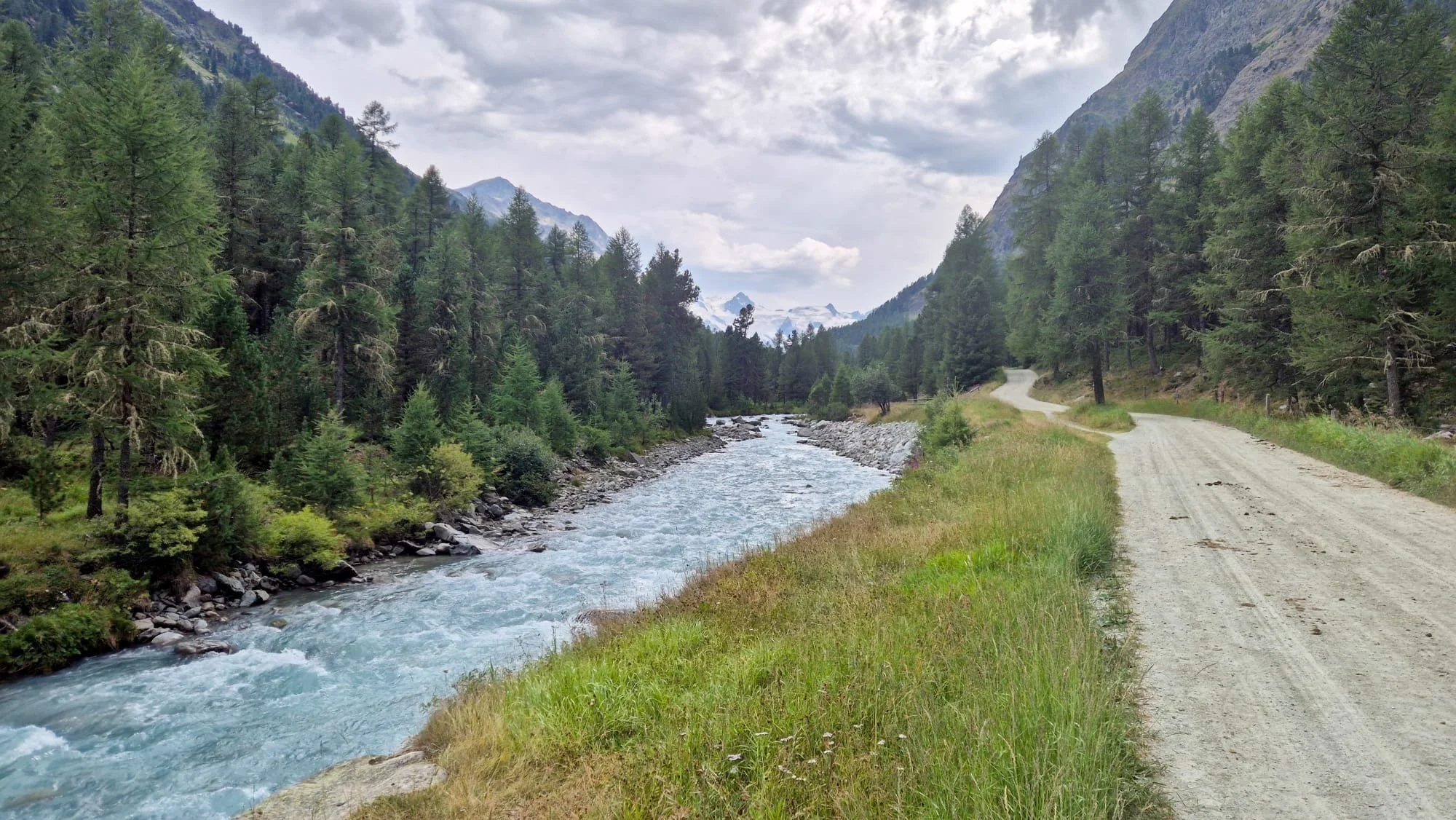 A scenic mountain landscape featuring a winding dirt road on the right, a mountain stream on the left, and tall green pine trees on both sides. Snow-capped mountains are visible in the background under a cloudy sky.