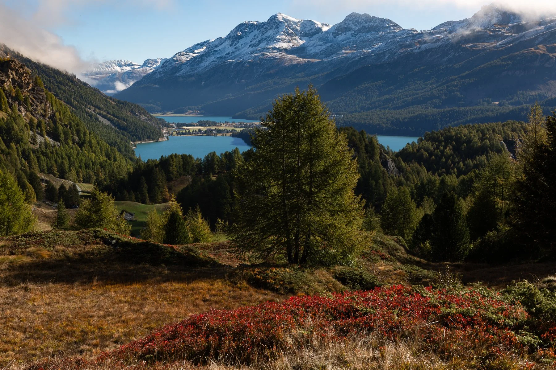 Scenic landscape of a mountain range with snow-capped peaks, a blue lake, and a green forested valley.