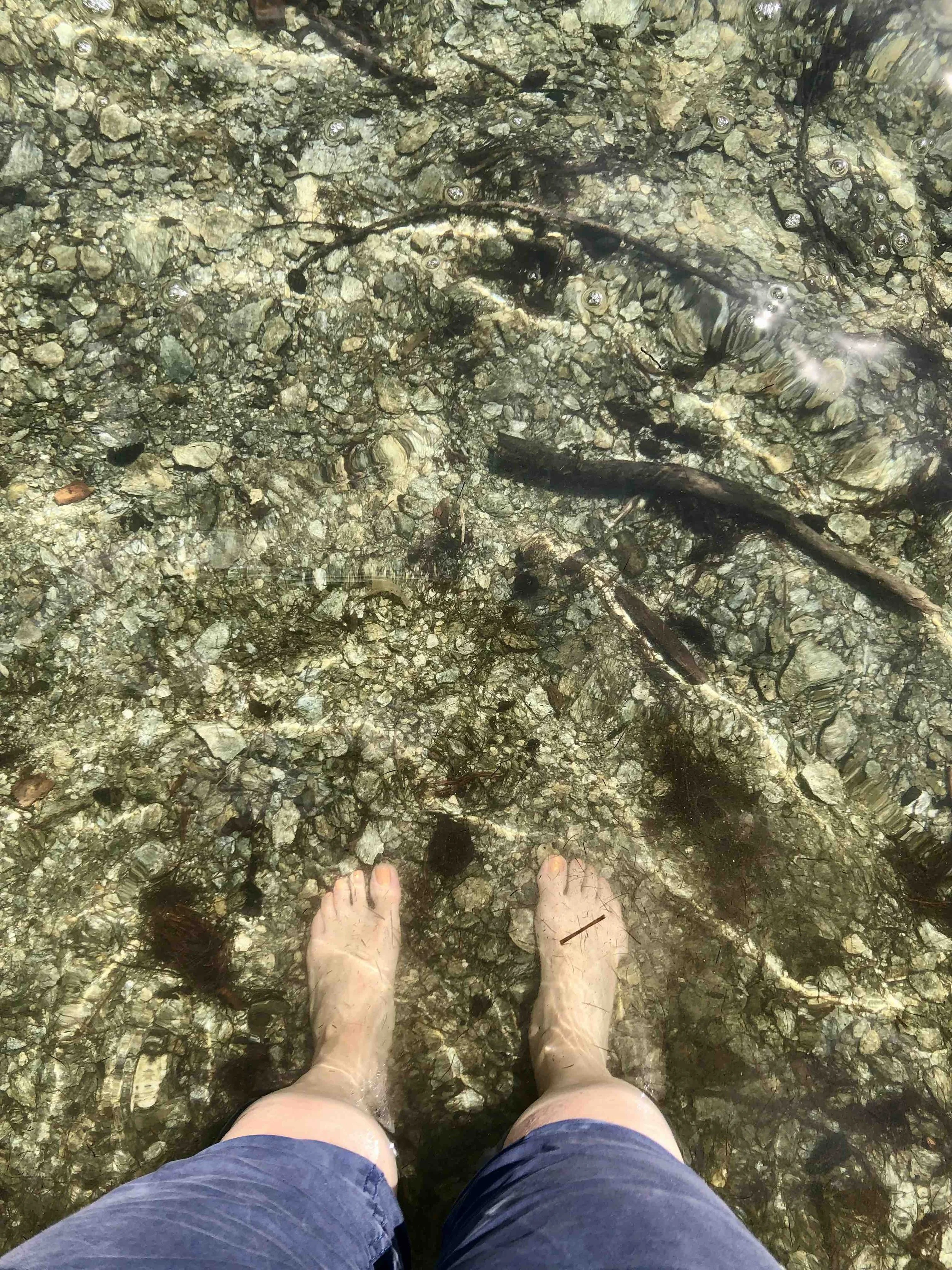 A person standing in clear, shallow water at the beach, showing their feet and legs, with pebbles and seaweed visible beneath the water.