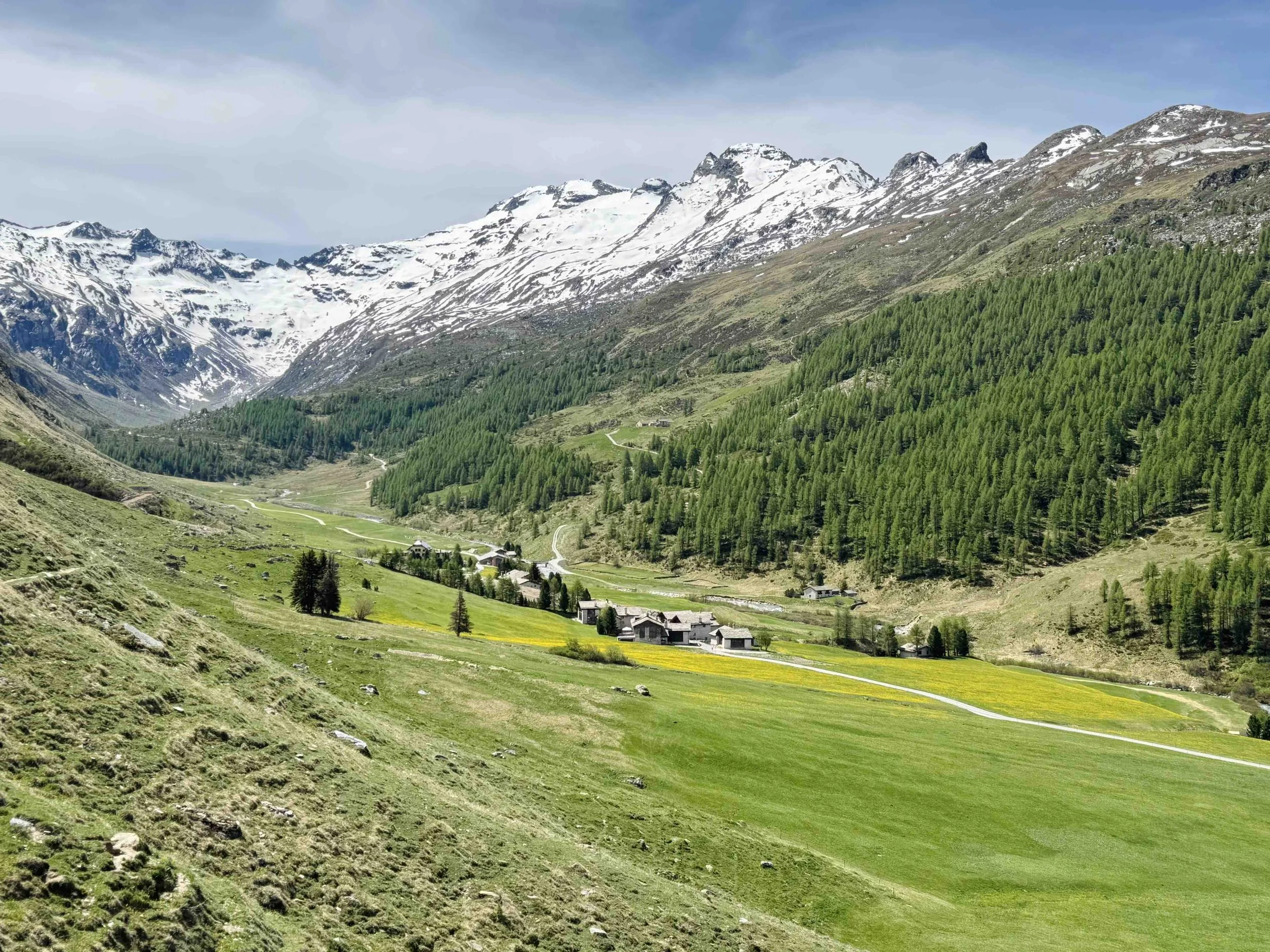 Scenic view of a mountain valley with snow-capped peaks, green forests, and a small cluster of houses at the base of the mountains.