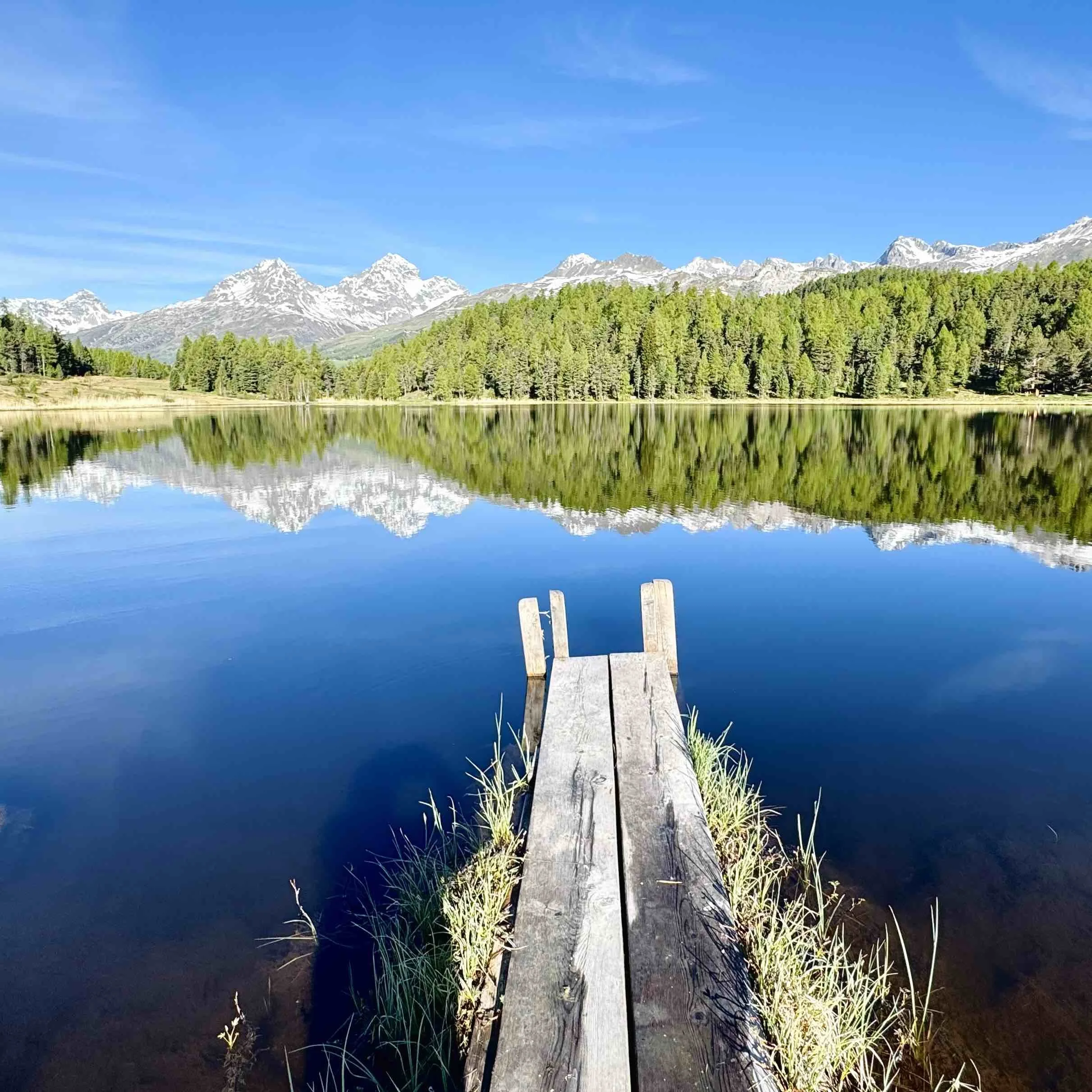 A calm lake with a wooden dock extending into the water, surrounded by green grass and tall trees, with snow-capped mountains and a bright blue sky in the background.