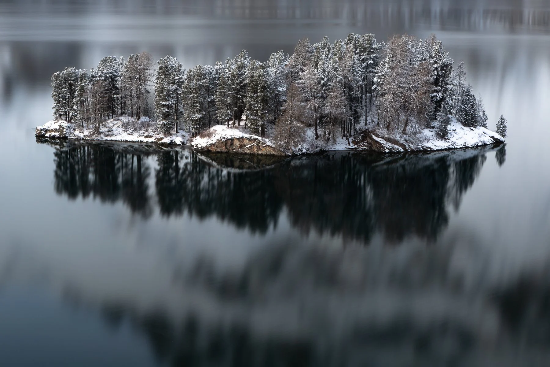 A snow-covered forest on a small island surrounded by calm water, with trees reflected in the water.