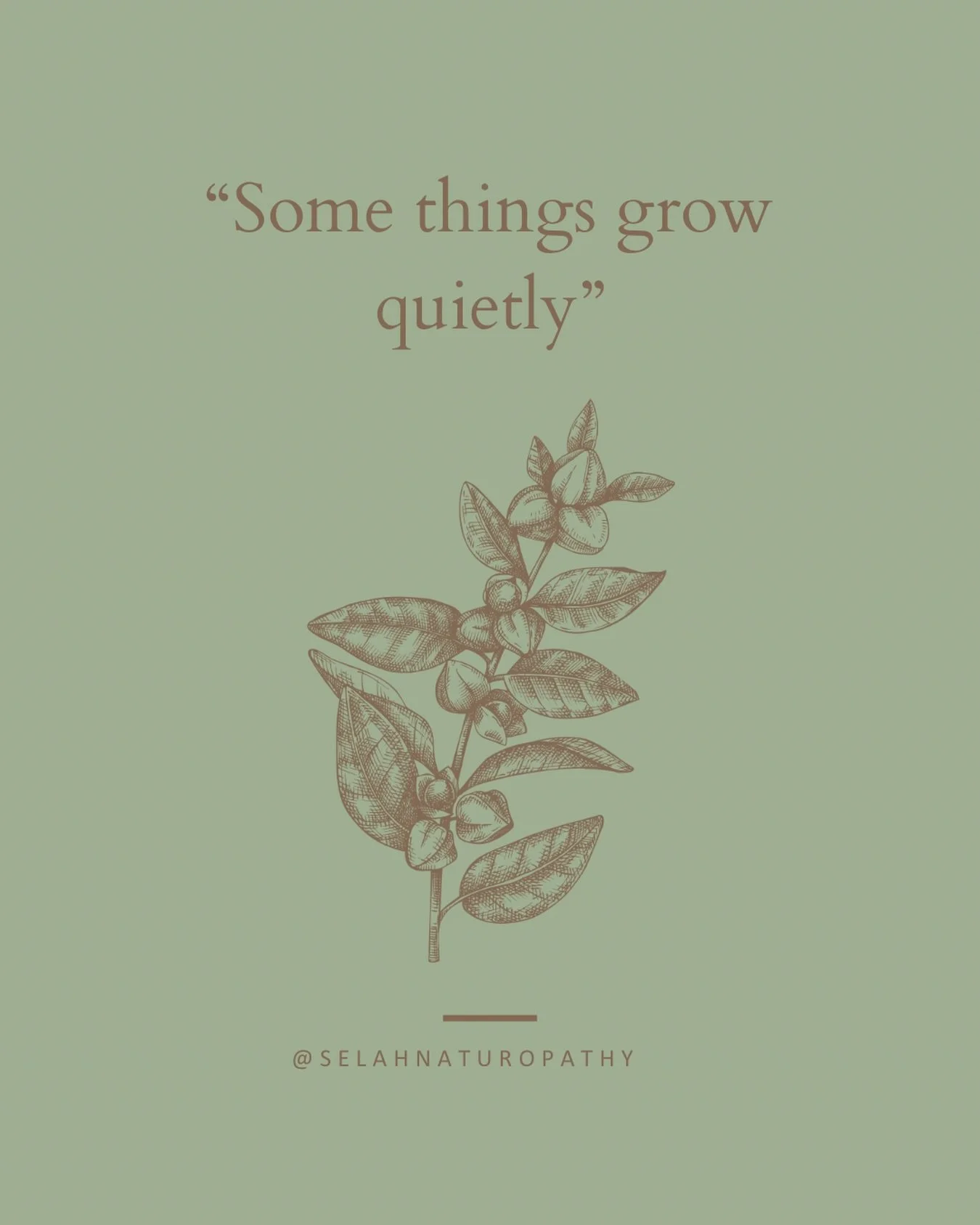 Some things grow quietly.

The strongest roots are often the ones we never see.

The same can be true for healing.

Not every change arrives with a dramatic breakthrough.

Sometimes it&rsquo;s a collection of small shifts happening beneath the surfac