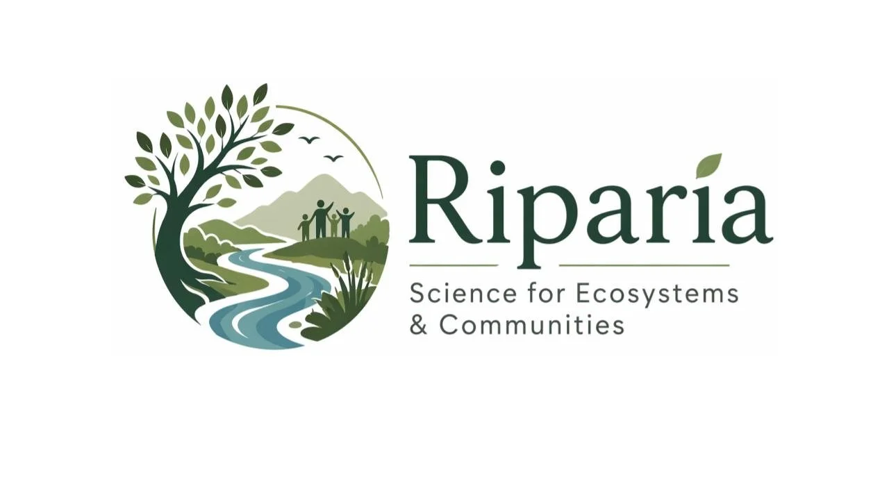 Riparia