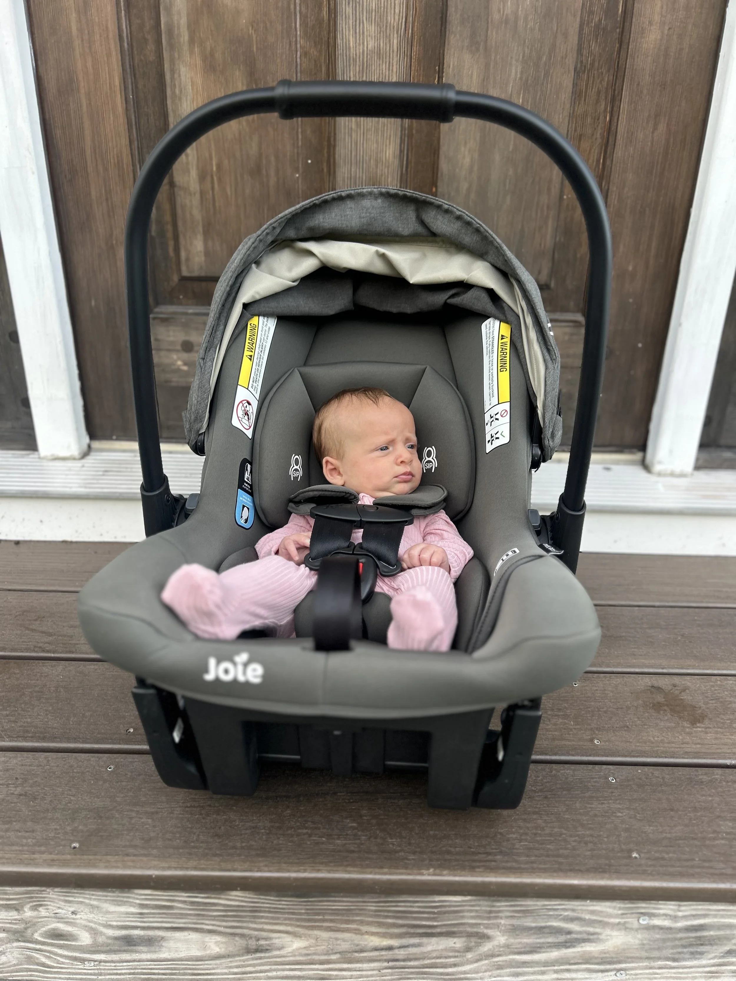 Expecting Parent Consultation and Carseat Installation $60