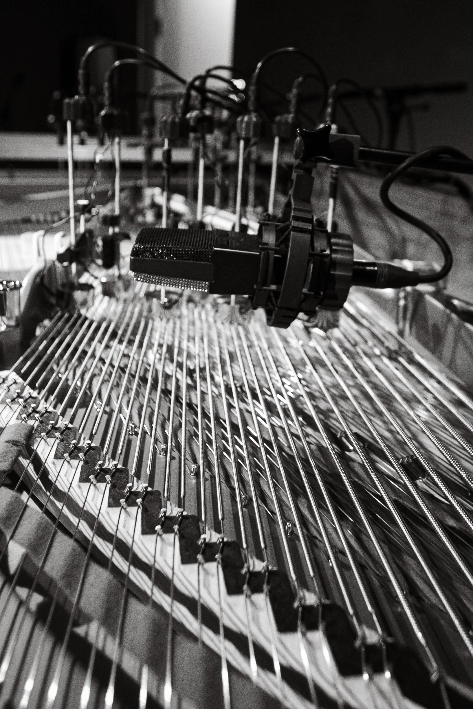 Kopi av IMG_7383_1.jpg