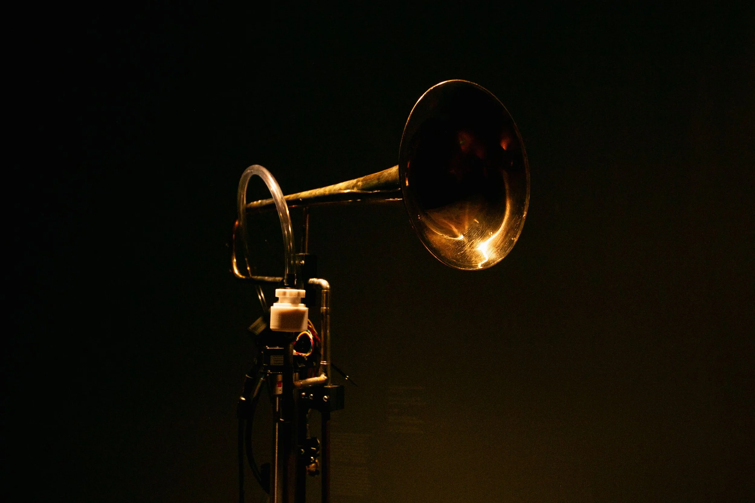 Kopi av IMG_7348.jpg