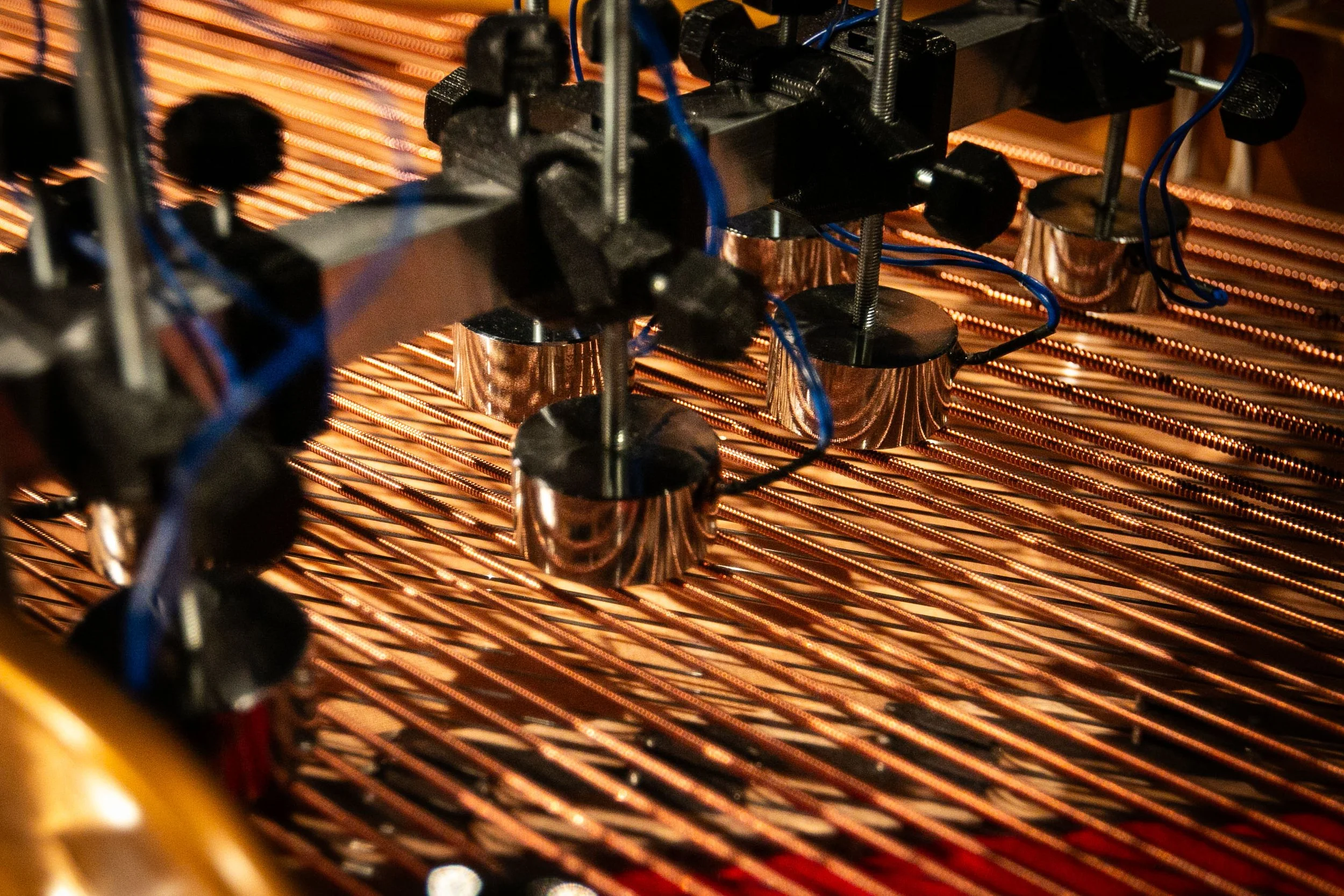 for renstemt klaver (2025)